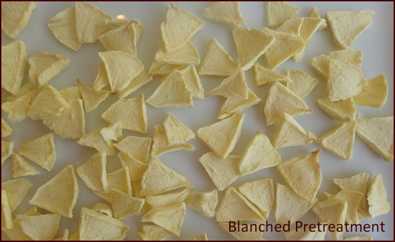Dried apple slices after blanching pretreatment.