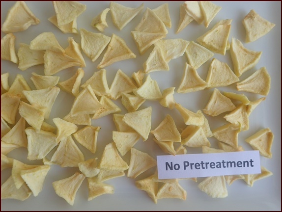 Dehydrated apples without pretreatment.