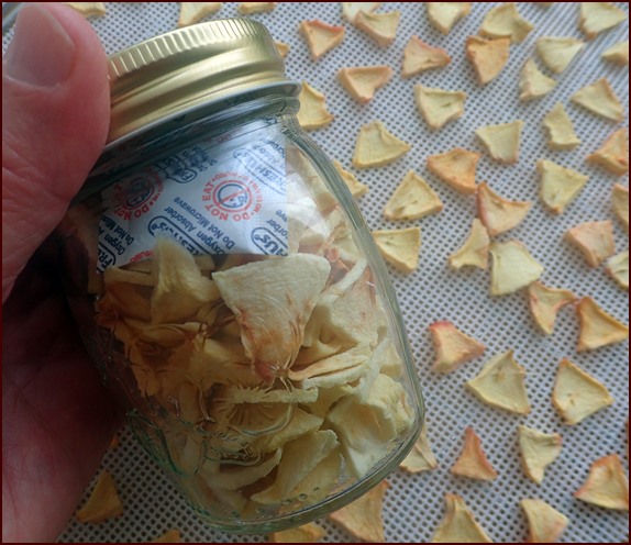 Storing dried apples in an airtight container with an oxygen absorber.