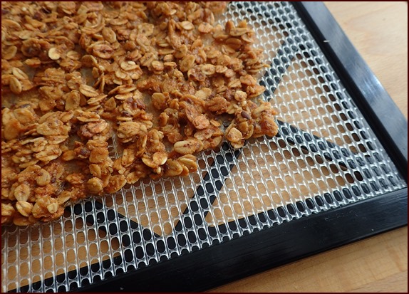 Banana-granola mixture near end of drying directly on mesh sheet.