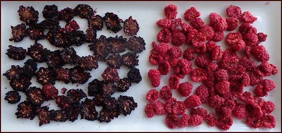 Dehydrated blackberries and raspberries.