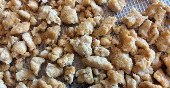 Dehydrated ground chicken with chicken-flavored hummus.