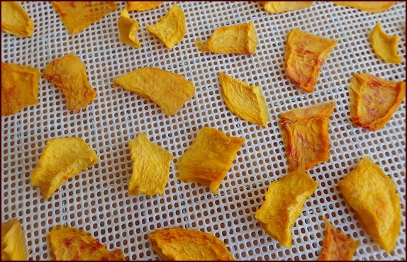 Dehydrated nectarines.