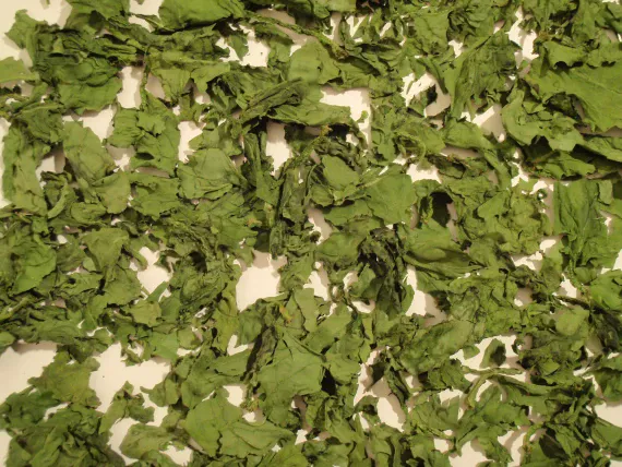 Dehydrated spinach.