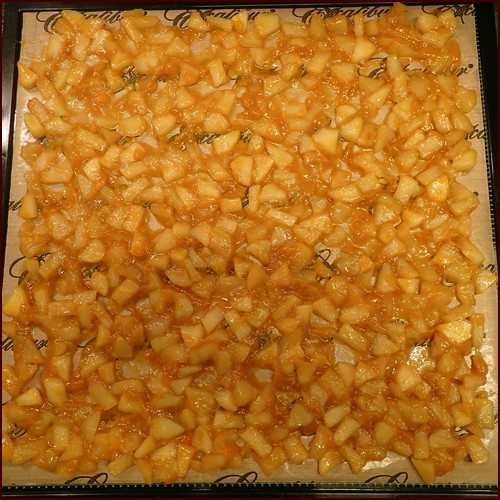 Dehydrating apples and apricots previously cooked on the stovetop.