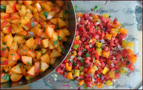 Ingredients for Apricot-Mint Salsa.