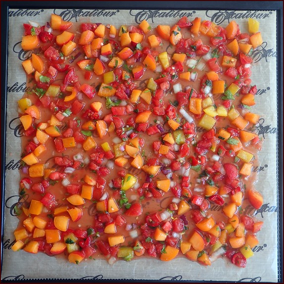 Apricot-Mint Salsa on Excalibur Dehydrator Tray. Include the juices.