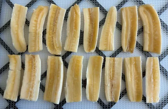 Dehydrating banana jerky. Dehydrating banana jerky.