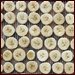 Dehydrating Bananas