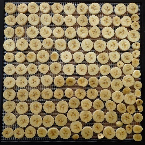 Sliced bananas on Excalibur dehydrator tray.