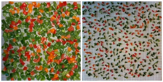 Dehydrating Bell Peppers
