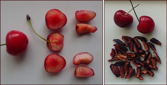 Cutting cherries into quarters for dehydrating.