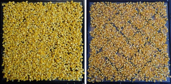 Dehydrating Corn: Before and After.