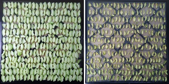 Dehydrating Cucumbers before and after.