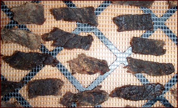 Dehydrating Beef Jerky for Dogs