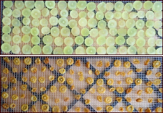 Dehydrating slice grapes, before and after.