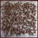 Dehydrating Ground Beef