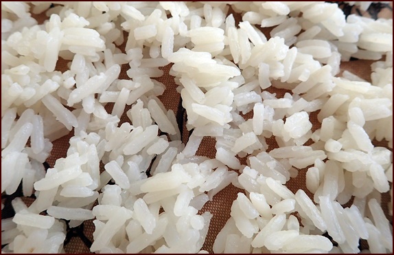 Cooked jasmine rice on dehydrator tray covered with nonstick sheet.