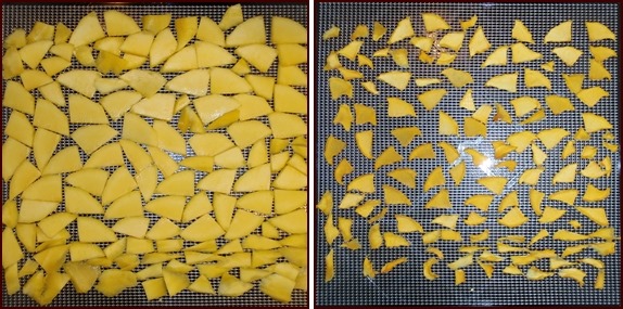 Dehydrating mangoes, before and after.