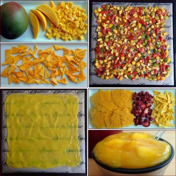 Guide to Dehydrating Mango with Recipes.