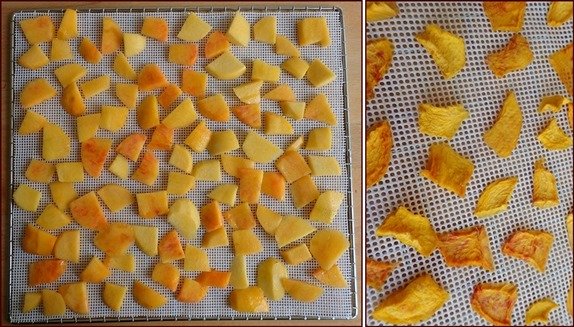 Dehydrating nectarines, before and after.