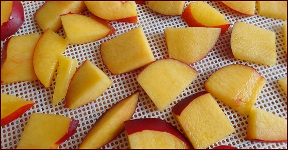 Dehydrating nectarines with skins.
