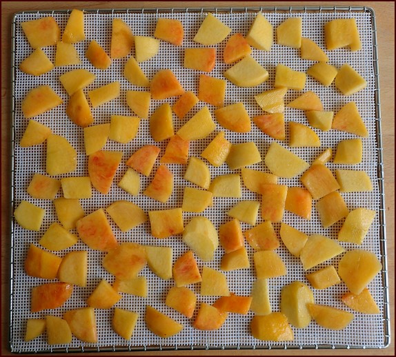 Sliced nectarines on Cosori dehydrator try with silicone mesh sheet.