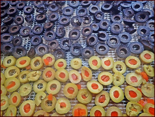 Dehydrating Olives: Sliced on Excalibur dehydrator tray.
