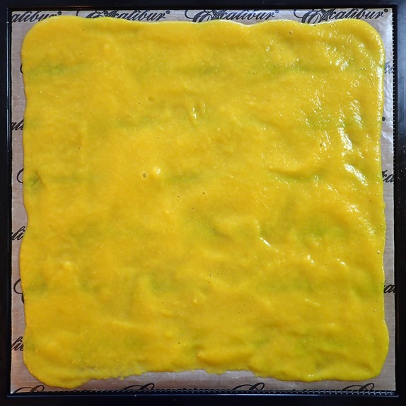 Dehydrating Orange Fruit Leather. Spread thinly on tray.