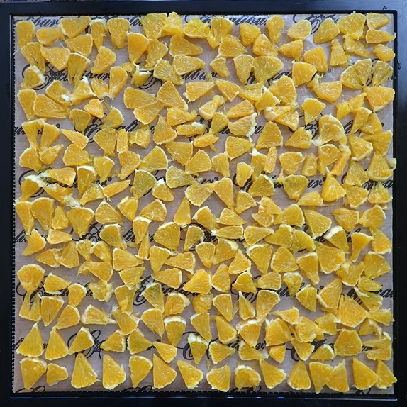 Orange pieces on Excalibur Dehydrator tray using nonstick sheet.