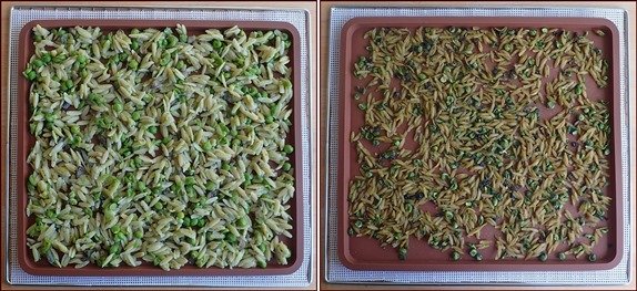 Orzo meal on silicone dehydrator tray before and after drying.