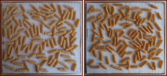 Cooked whole-wheat rotini on left, dehydrated on right.