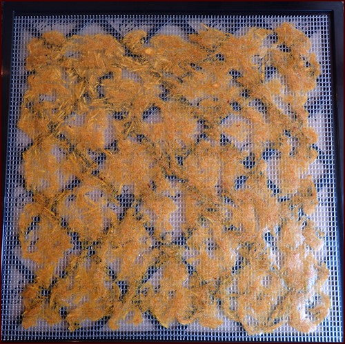 Dried Peach Leather. Notice non-stick sheet has been removed to finish drying directly on mesh sheet.