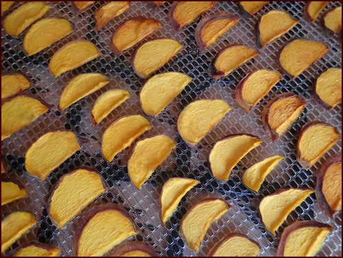 Sliced peaches after dehydrating.