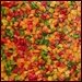 Dehydrating Peppers