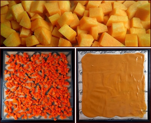 How to prepare and dehydrate pumpkin. Photo shows pumpkin cubes and blended pumpkin pie mixture.