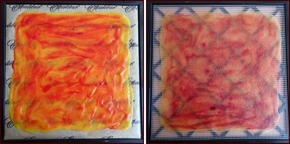 Photo shows raspberry-mango fruit leather, before and after dehydrating.