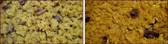 Dehydrating risotto before and after.