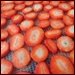 Dehydrating Strawberries