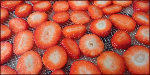 Sliced strawberries on Excalibur dehydrator tray.