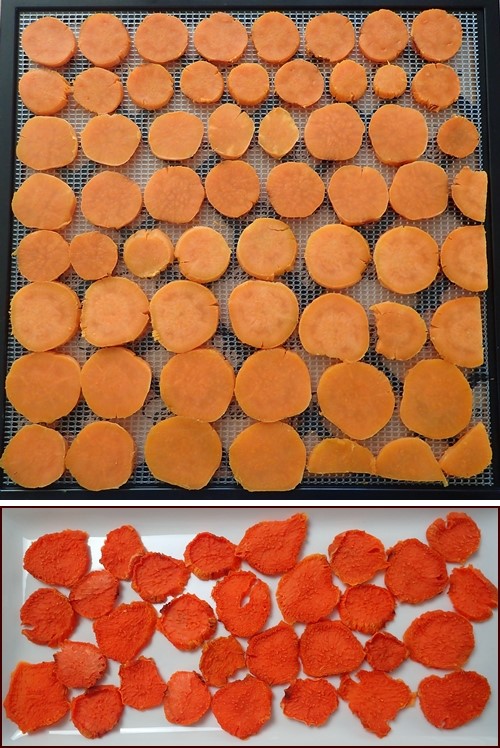 Dehydrating Sweet Potato Chips