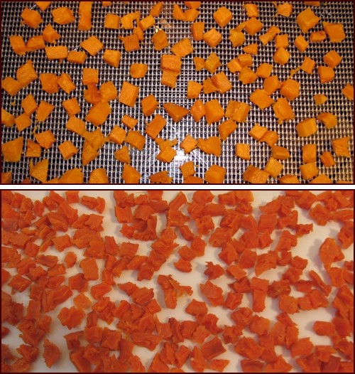Dehydrating sweet potatoes cut into small cubes.