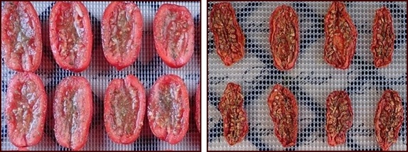 Dehydrating San Marzano Tomatoes