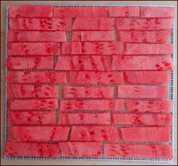 Quarter-inch slices of watermelon on dehydrator tray using mesh sheet.