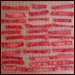 Dehydrating Watermelon
