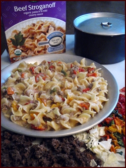 Easy Beef Stroganoff Backpacking Recipe.
