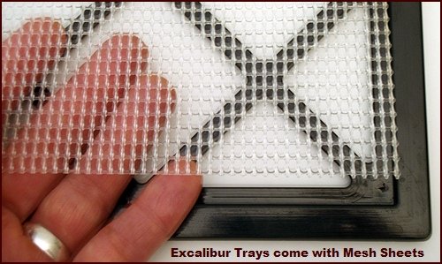 Excalibur Food Dehydrator Mesh Sheet and Tray.