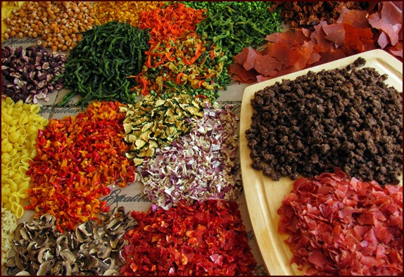Photo shows food dried in an Excalibur Dehydrator.