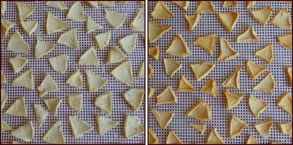 Gala apple slices treated with fresh lemon juice and water (left), no pretreatment (right).