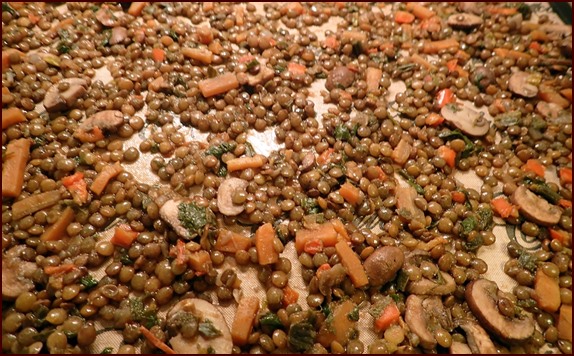 Cooked Green-Lentil Stew on dehydrator tray.